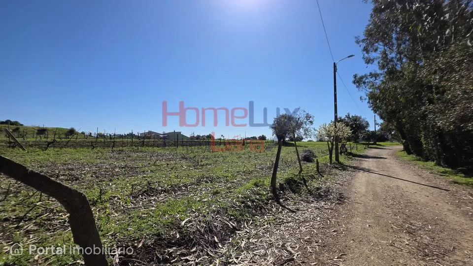 Land for sale in Travassô e Óis da Ribeira
