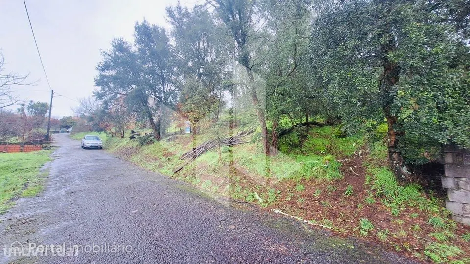 Terreno Para Construção Venda em Parada de Gonta,Tondela