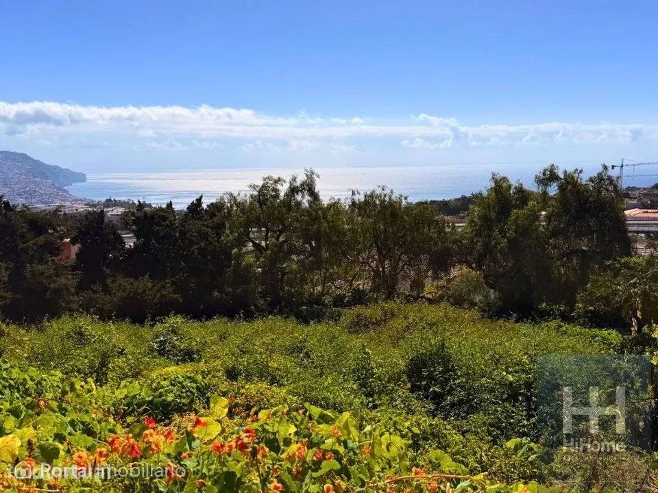 Terreno com 1.607 m2 para construção no Funchal