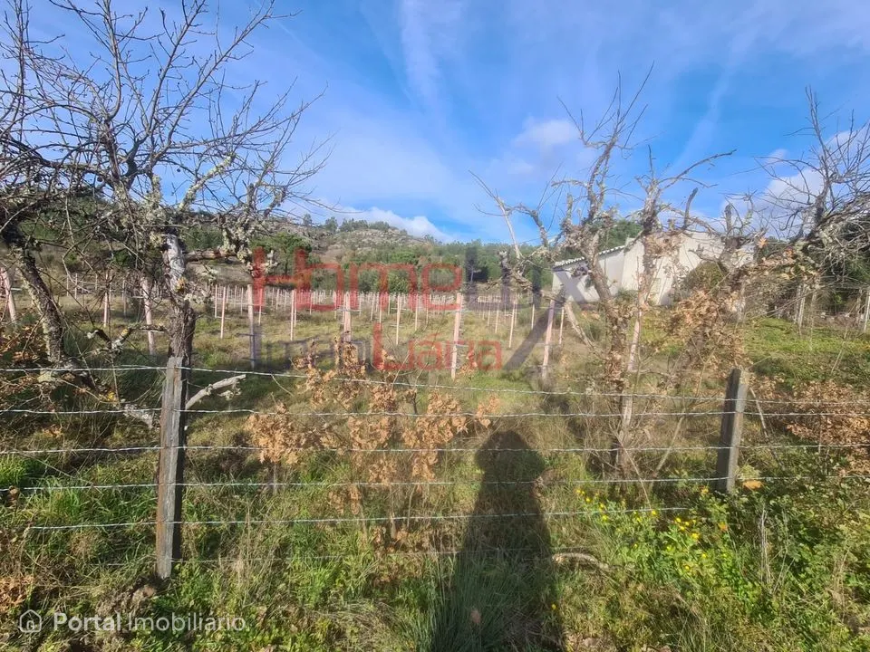 Quinta Agrícola do Dão para venda