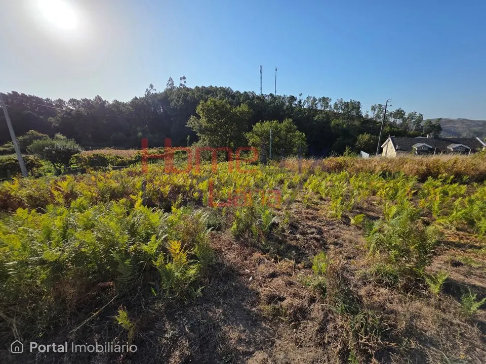 Terreno com viabilidade de construção