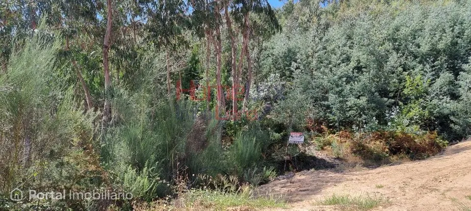Land for sale in Macieira de Cambra