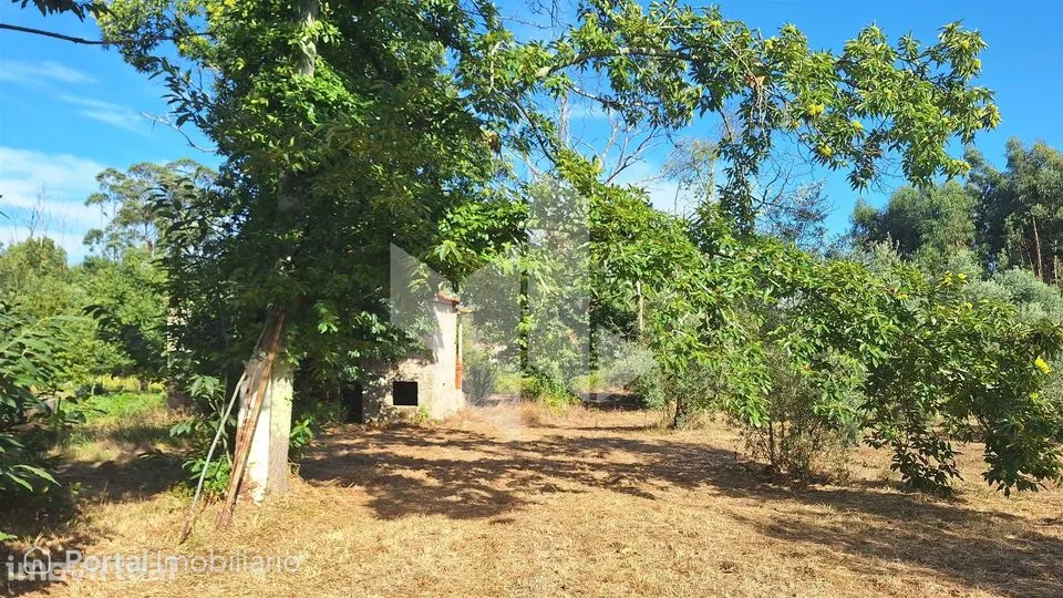 Moradia Isolada T0 Venda em Dardavaz,Tondela