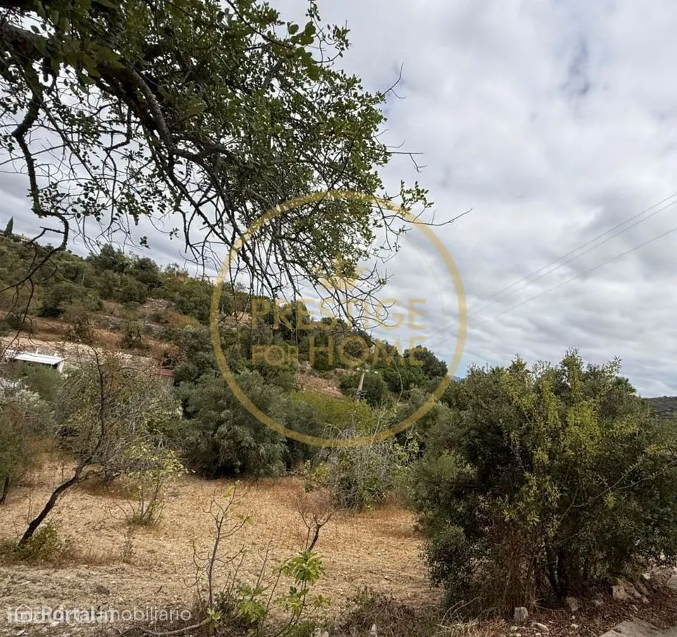Oportunidade de Investimento: Terreno Agricola de 3.142 m² em Loulé,lo