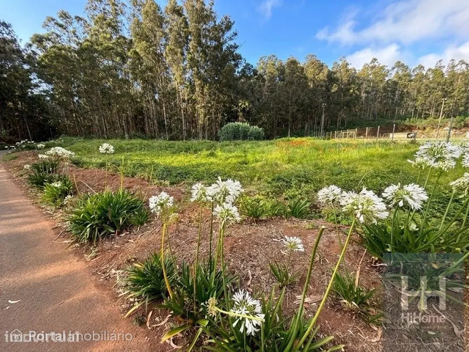 Land for sale in Porto Moniz