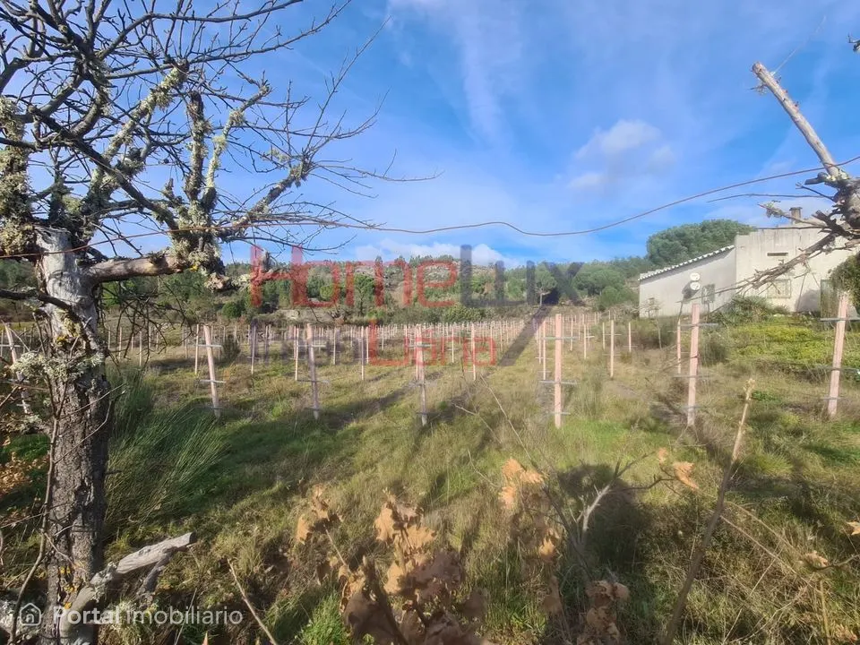 Quinta Agrícola do Dão para venda