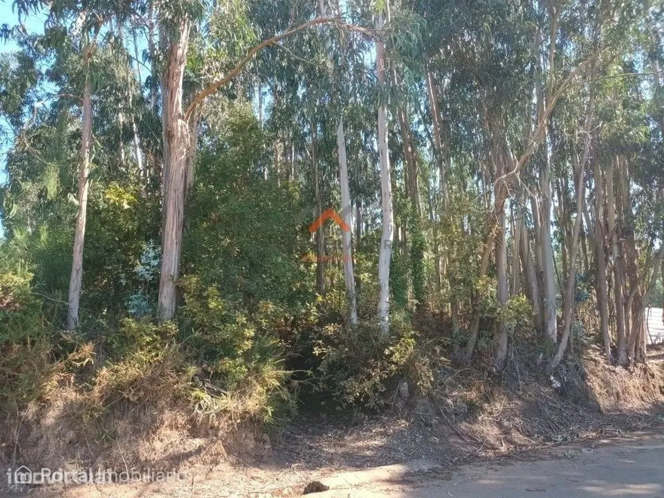 Terreno para Construção em Óis da Ribeira