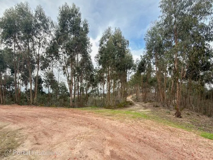 Land for sale in Torres Vedras
