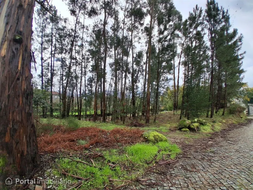 Land for sale in Marco de Canaveses