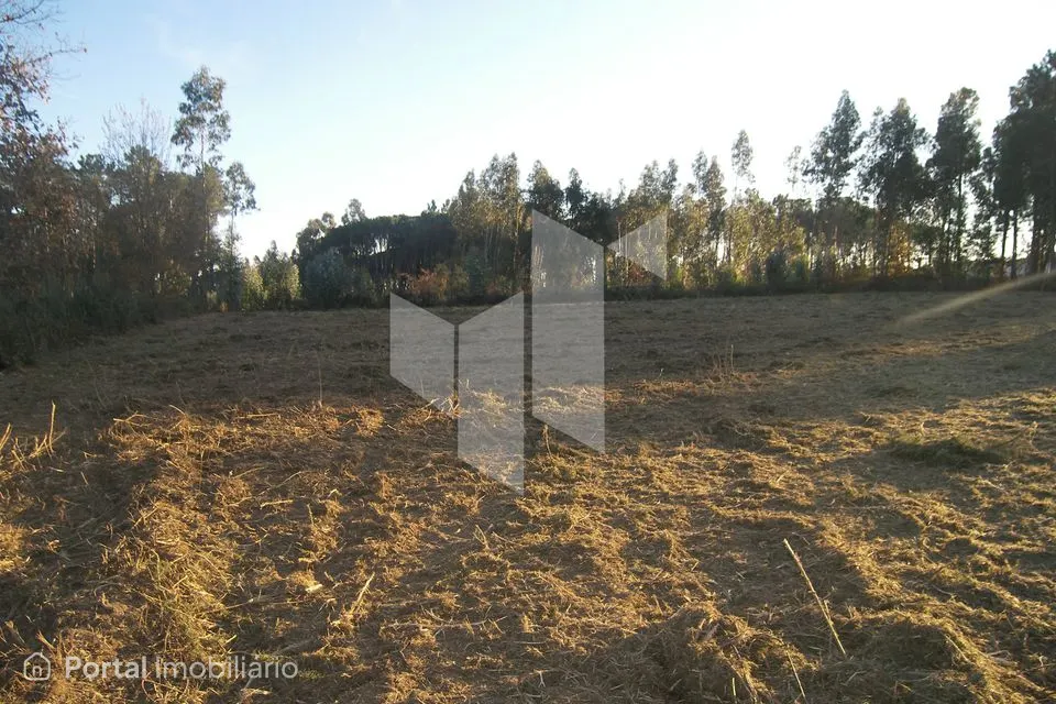 Terreno Para Construção Venda em Currelos, Papízios e Sobral,Carregal do Sal