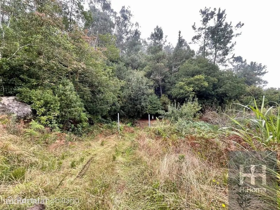Terreno com Palheiro em São Vicente, Madeira