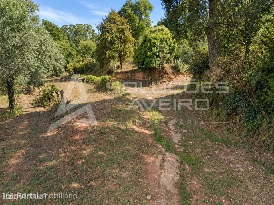 Quintã de oronhe - Águeda | 2.150 m²