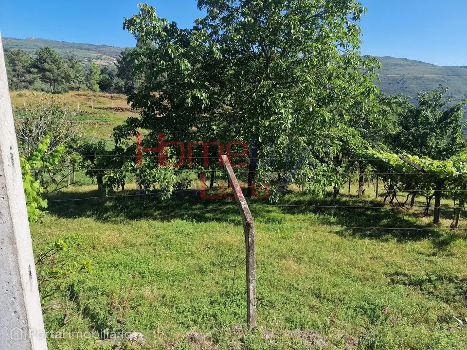 Land for sale in São Cipriano
