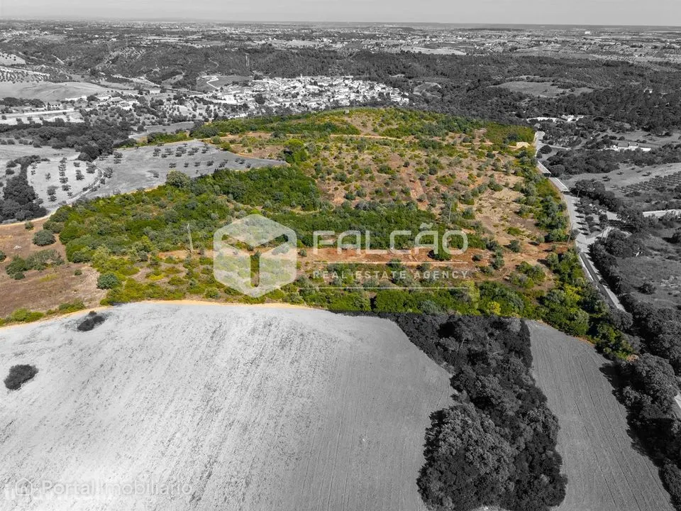Terreno Para Construção Venda em Azoia de Cima e Tremês,Santarém