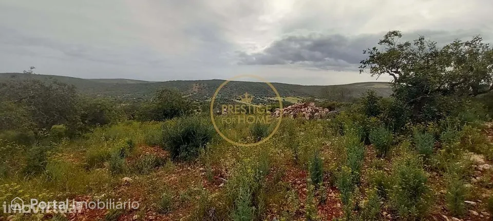 Terreno Rústico com Alfarrobeiras e Amendoeiras - 7.840 m² de Natureza