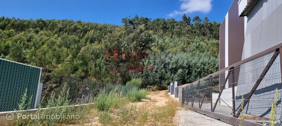 Land for sale in Macieira de Cambra