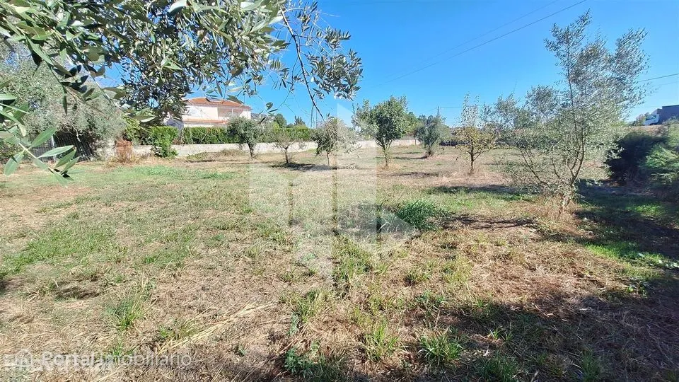 Terreno Para Construção Venda em Molelos,Tondela