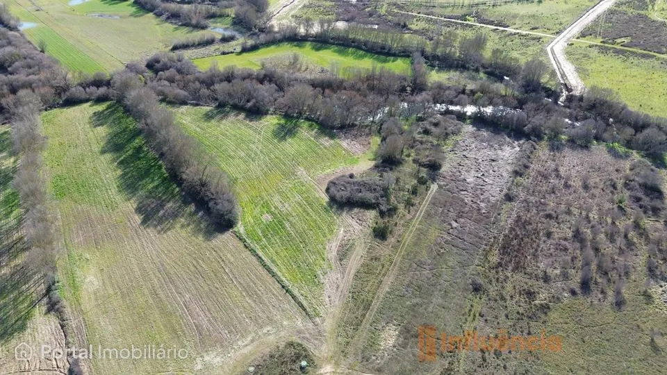 Terreno com ruína | Alcaria
