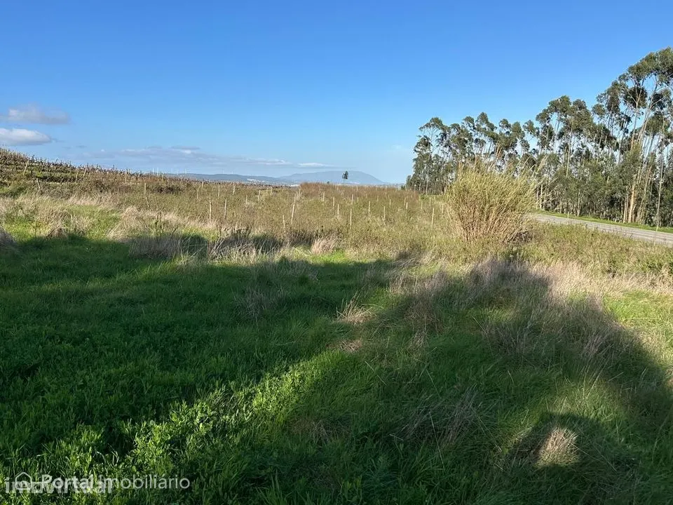 Terreno rústico com 2.320 m² entre Ribaldeira e Furadouro