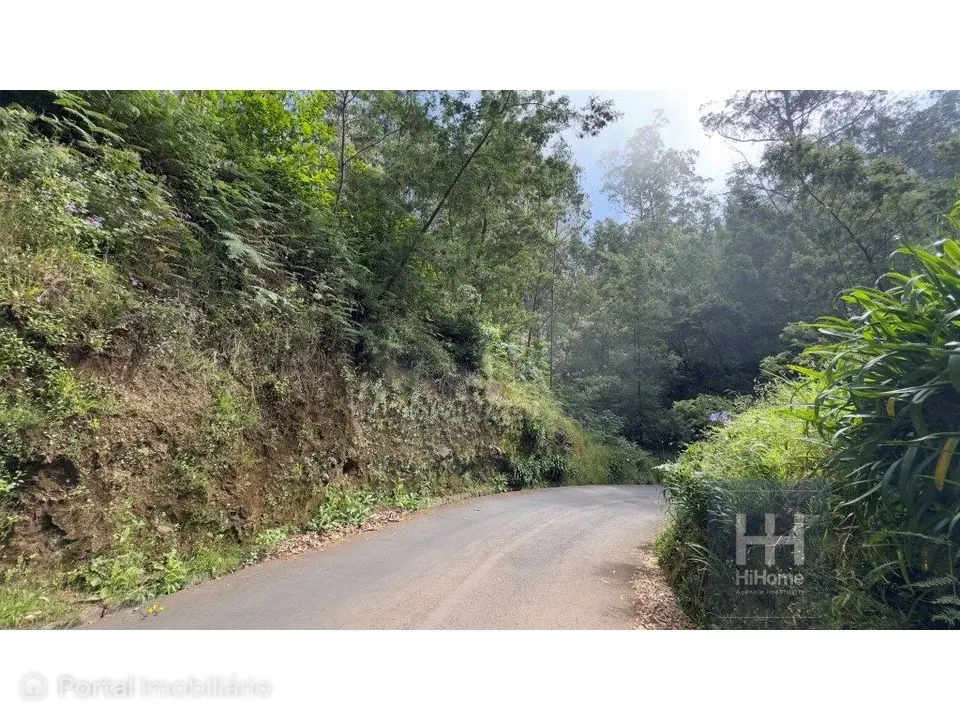 Terreno rústico no Caminho dos Pretos | Funchal