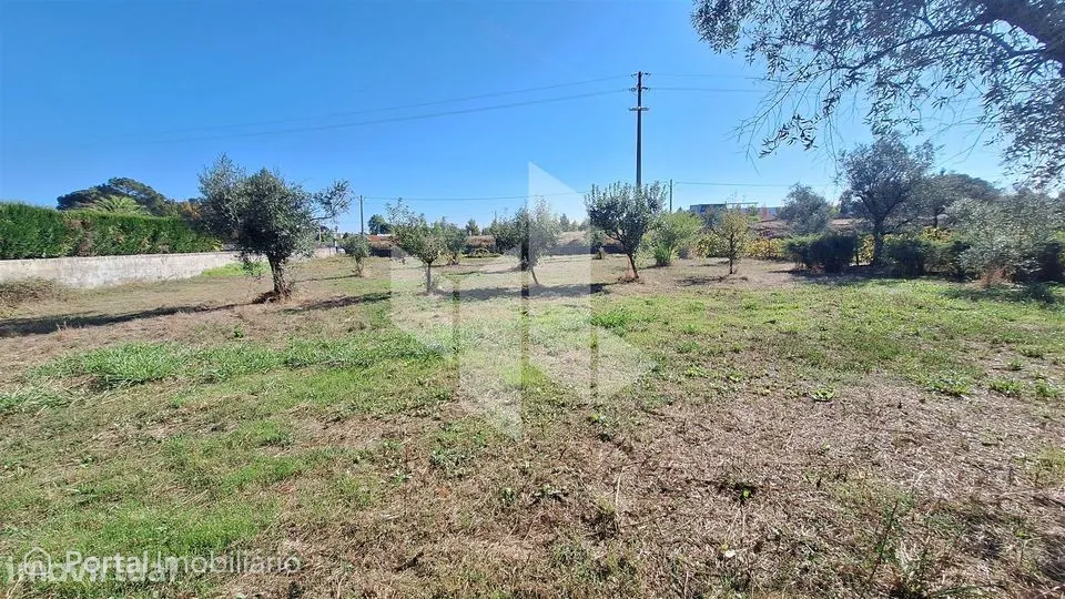 Terreno Para Construção Venda em Molelos,Tondela