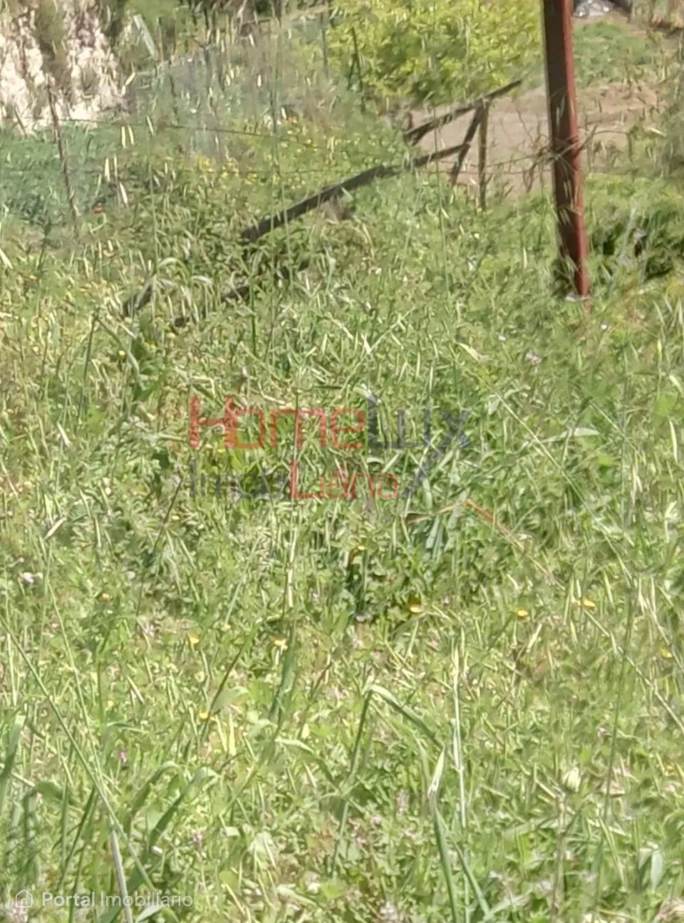 Terreno para Venda