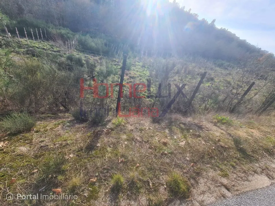 Quinta Agrícola do Dão para venda