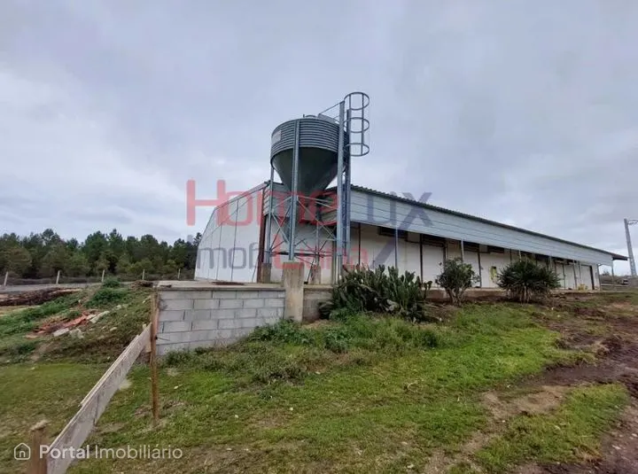 Negócio de Cunicultura para venda em Sabugal, Guarda