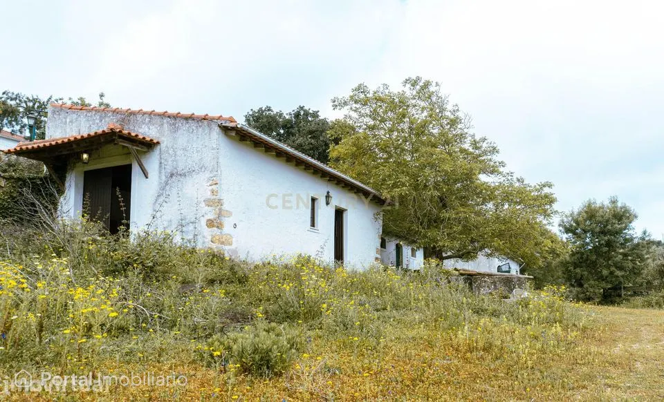 Quintinha em Alenquer com Excelente Potencial – 5,8 Hectares