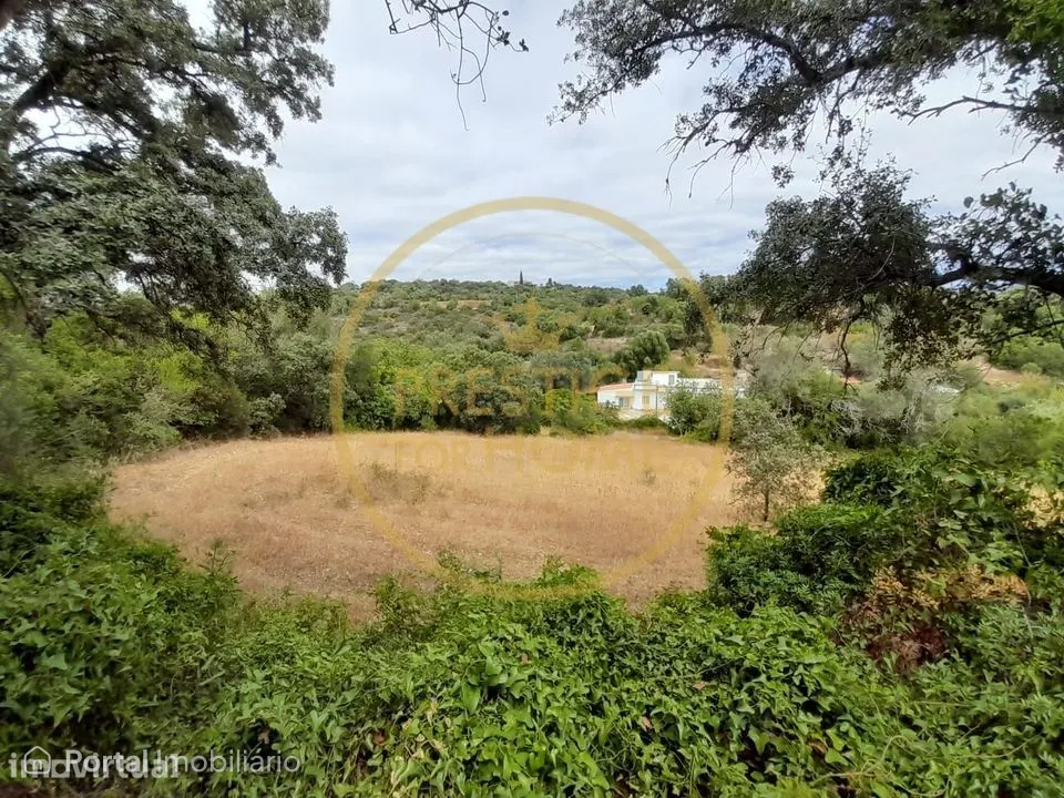 Oportunidade de Investimento: Terreno Agricola de 3.142 m² em Loulé,lo