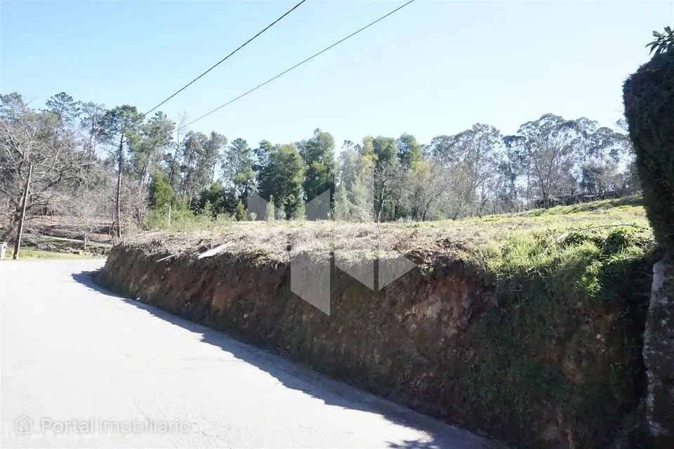 Terreno Urbano Venda em Campo de Besteiros,Tondela