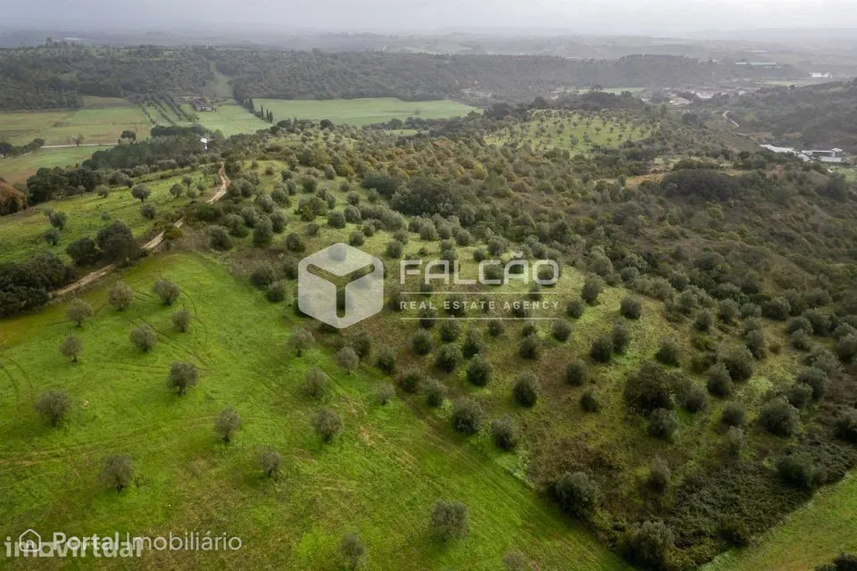 Terreno Misto Venda em Pernes,Santarém