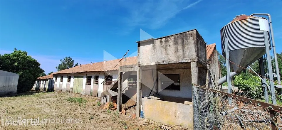 Quintinha Venda em Lobão da Beira,Tondela