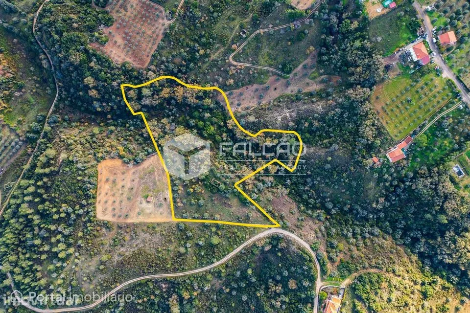 Terreno Misto Venda em Azoia de Cima e Tremês,Santarém