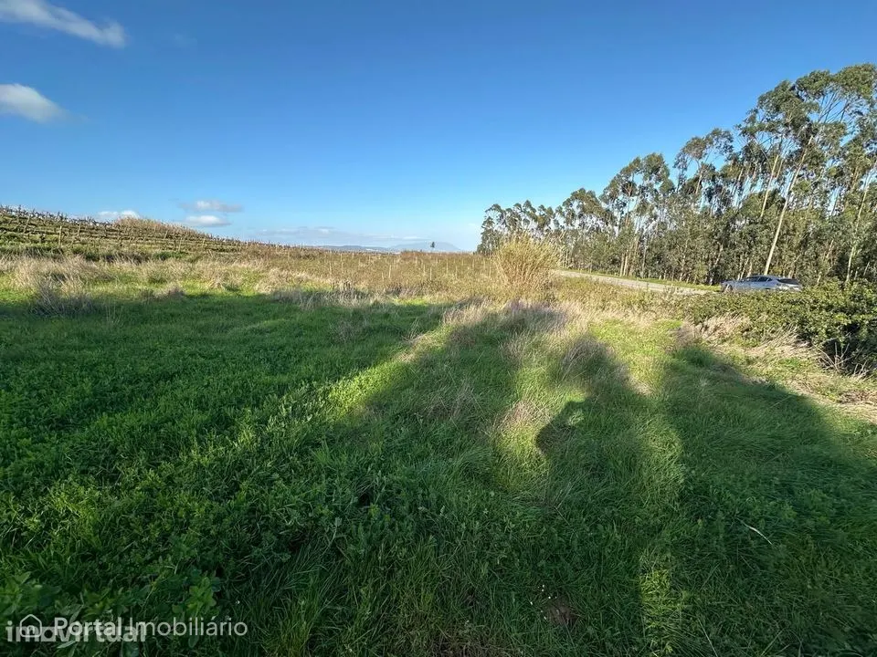Land for rent in Santa Maria, São Pedro e Matacães