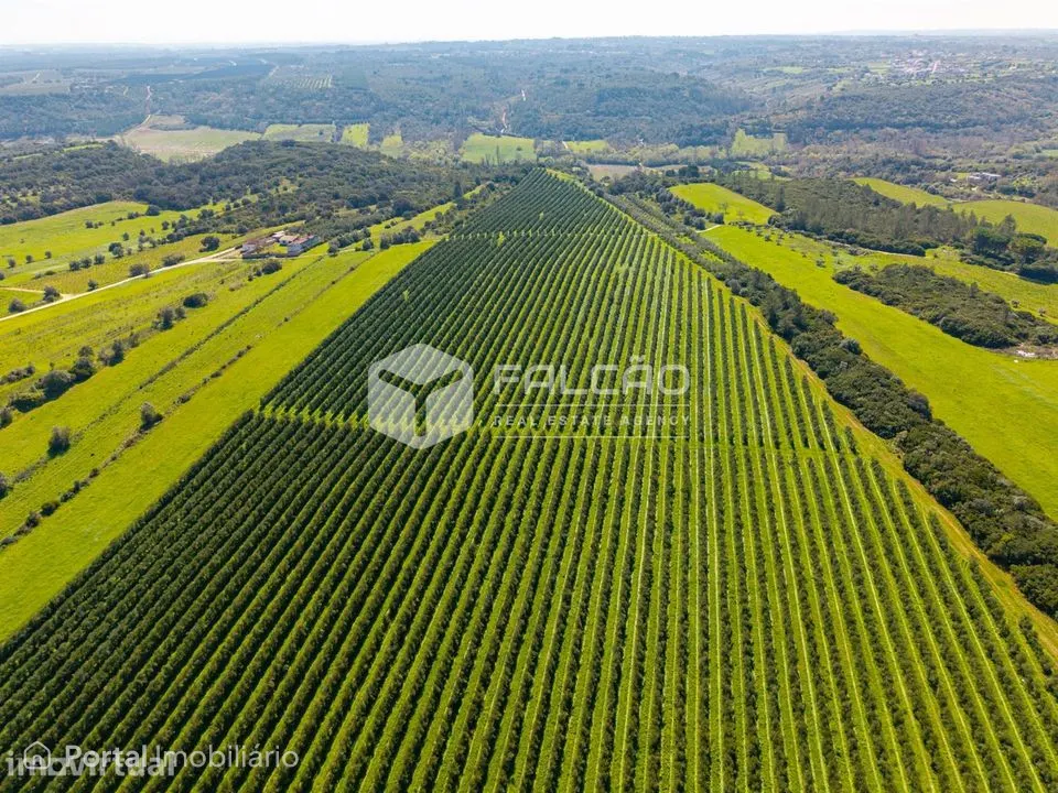 Terreno Rústico Venda em Almoster,Santarém