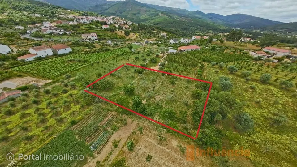 Terreno Rústico com Vista Deslumbrante - Souto da Casa (Tinalha)