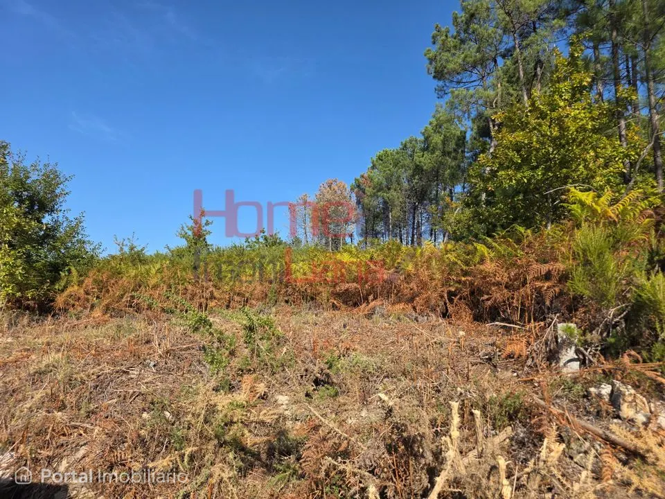 Terreno para venda em Castro Daire