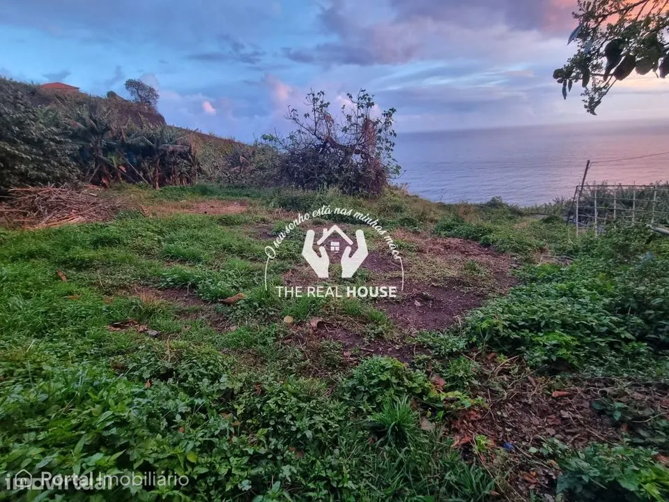 Terreno Ribeira brava