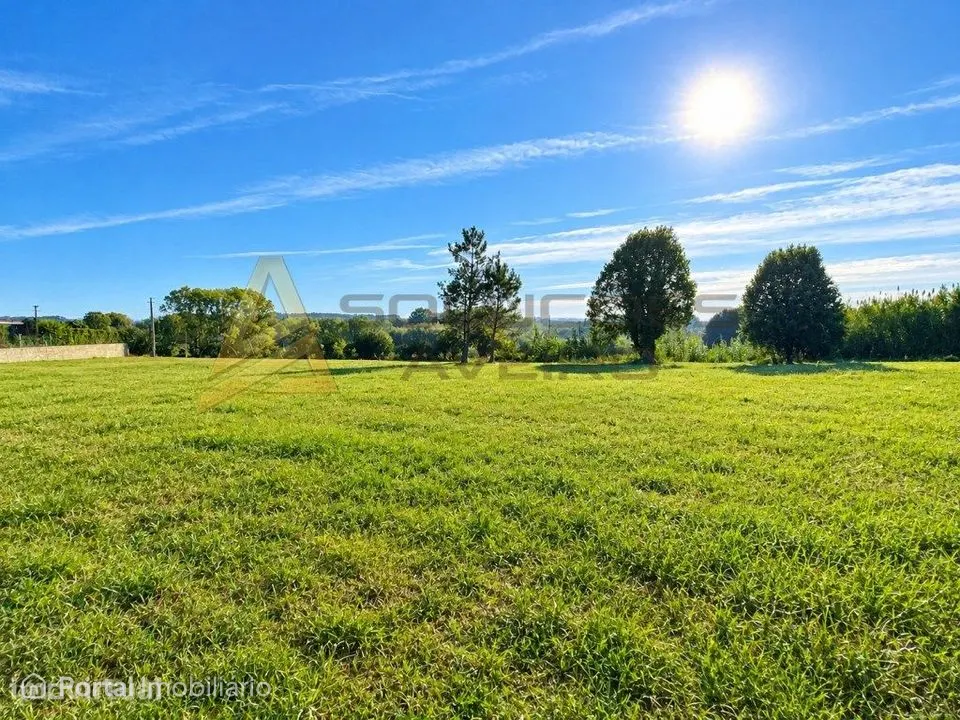 Terreno onde o sol é REI