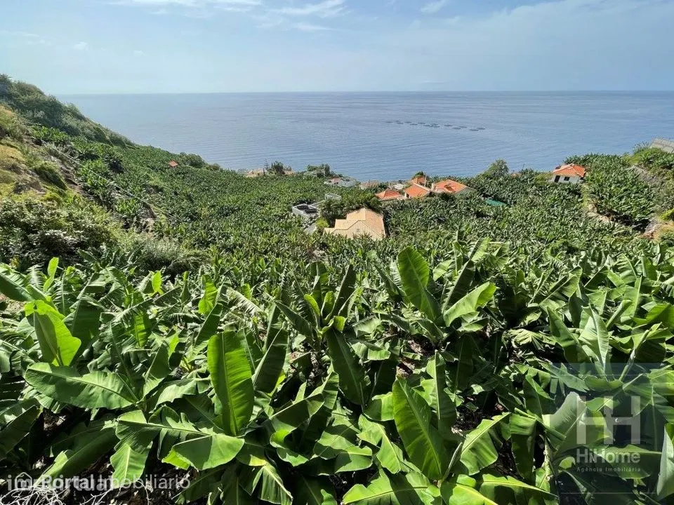 Terreno com 2.295m2 na Calheta, Madeira