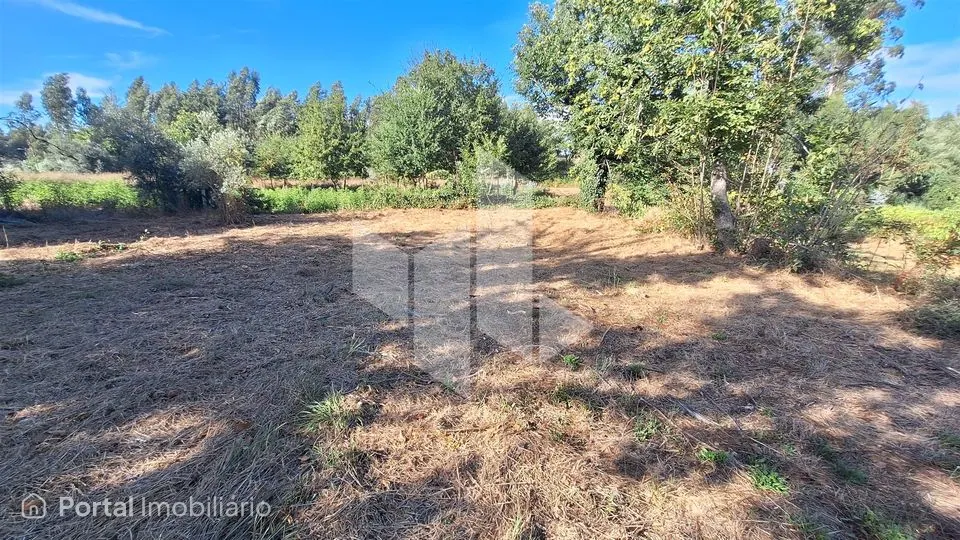 Moradia Isolada T0 Venda em Dardavaz,Tondela