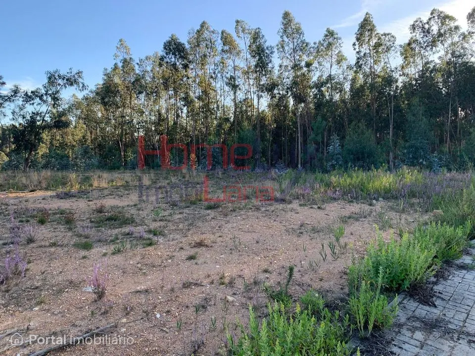 Land for sale in Valongo do Vouga