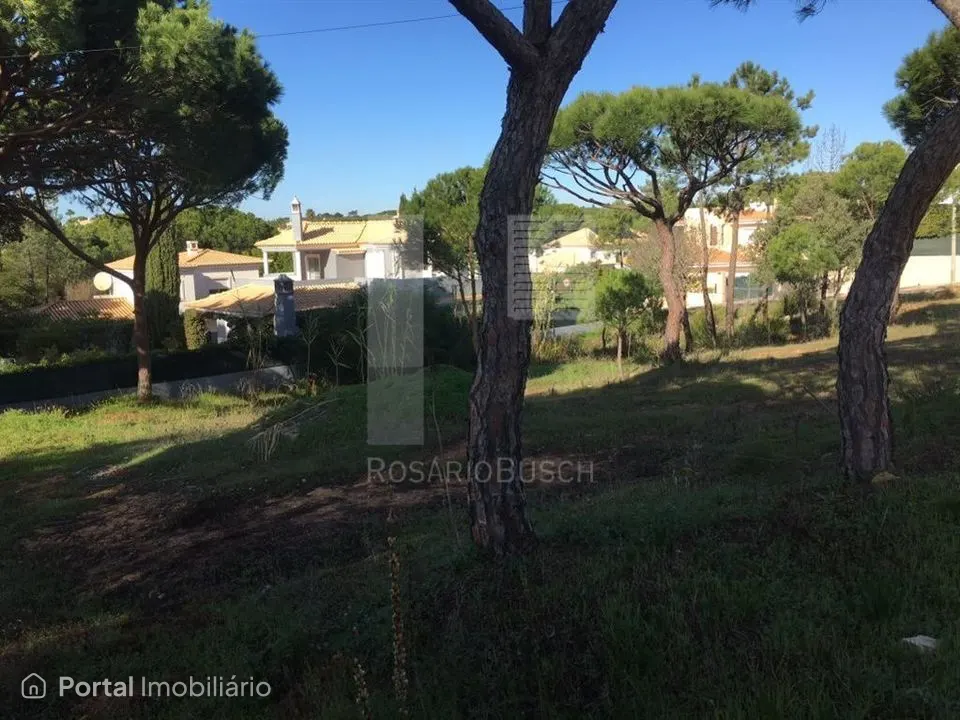 Terreno em Vilas Alvas