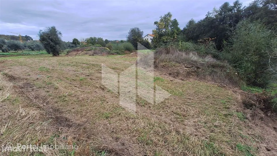 Terreno Para Construção Venda em São Miguel do Outeiro e Sabugosa,Ton
