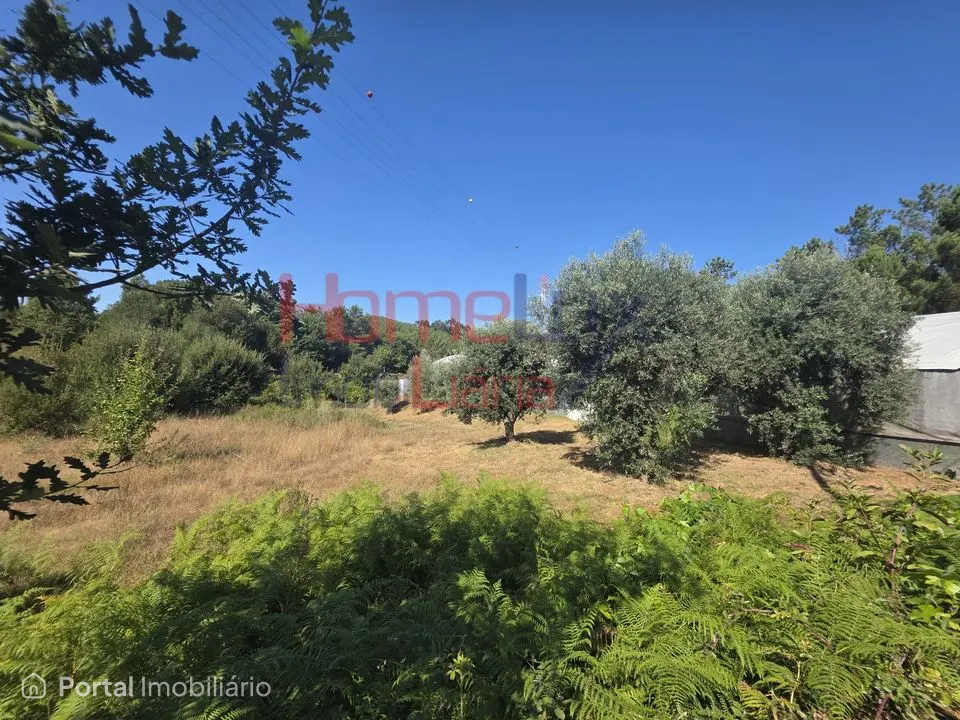 Land for sale in Campo