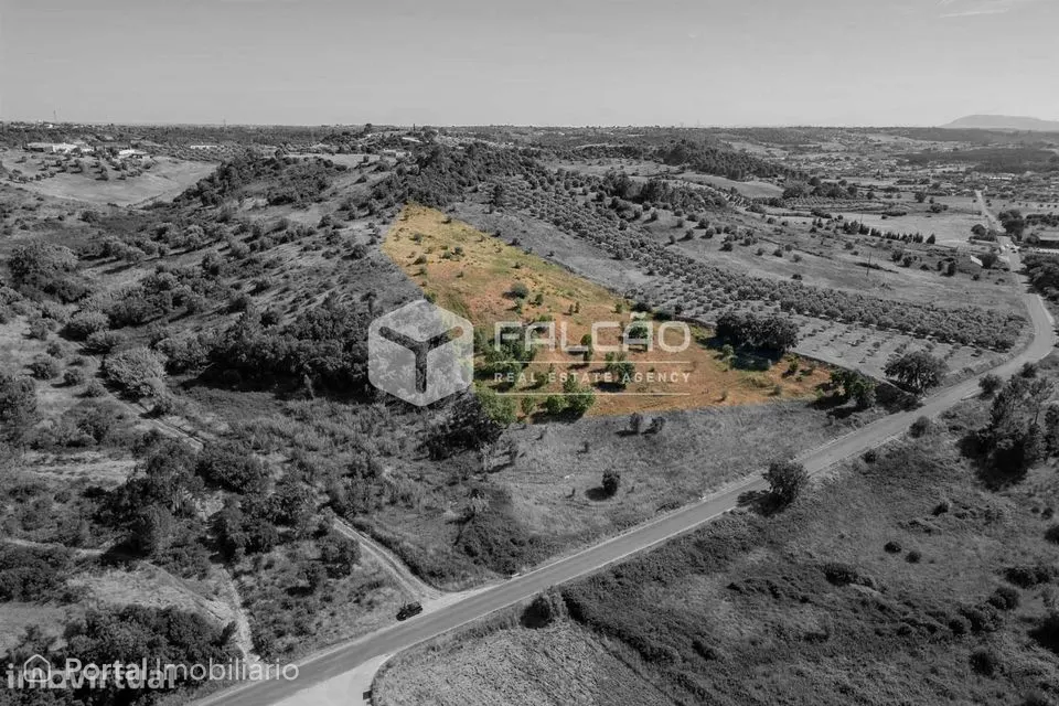 Terreno Rústico Venda em Azoia de Cima e Tremês,Santarém