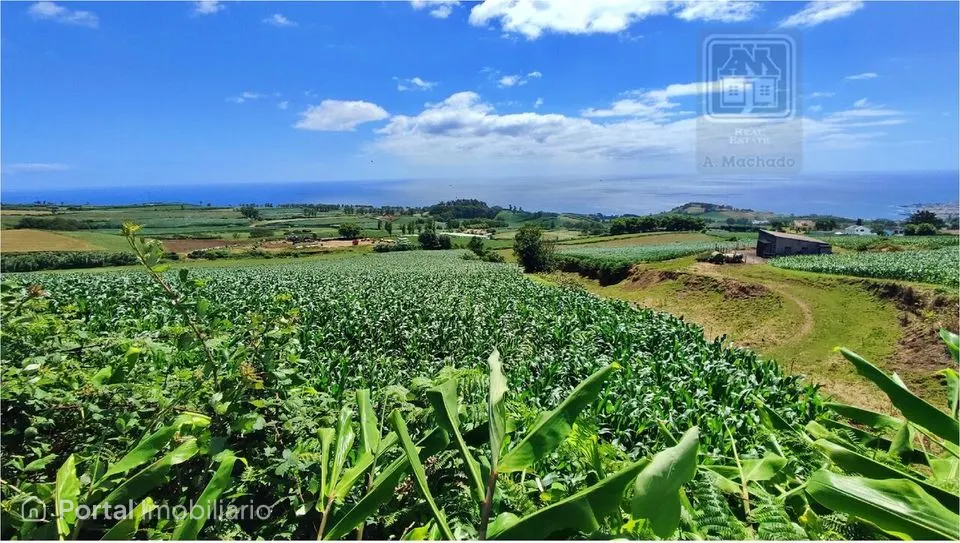 Terreno à venda em Santa Cruz