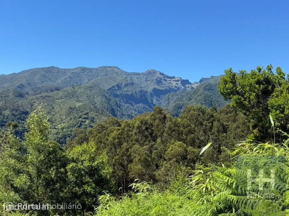 Terreno com 2.100 m² para construção em São Jorge