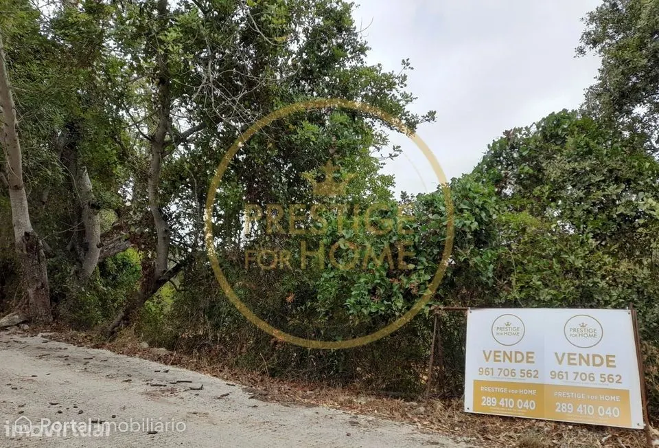 Oportunidade de Investimento: Terreno Agricola de 3.142 m² em Loulé,lo